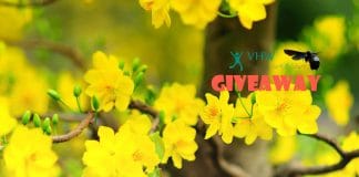 VHW Giveaways 2017 - Free Resources cho Blog chuyên nghiệp!