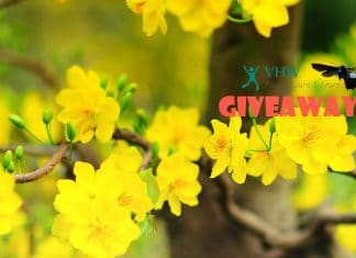 VHW Giveaways 2017 – Free Resources cho Blog chuyên nghiệp! VHW Giveaways 2017 - Free Resources cho Blog chuyên nghiệp!