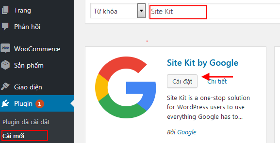 Install Google Site Kit